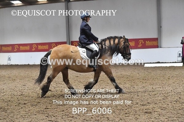 BPP_6006 - ELEM TEST 4