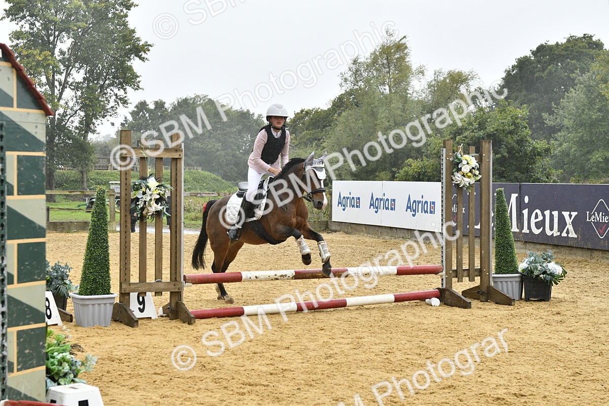 SBM_71000 - J3 - Mini Tour Junior Pony 40cm championship