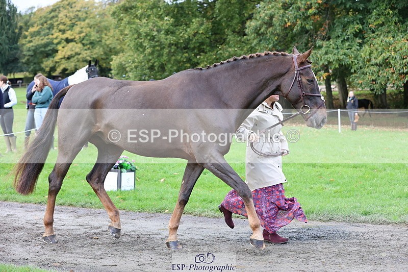 251026A-103548-23129 - F-433-Kathryn.Board