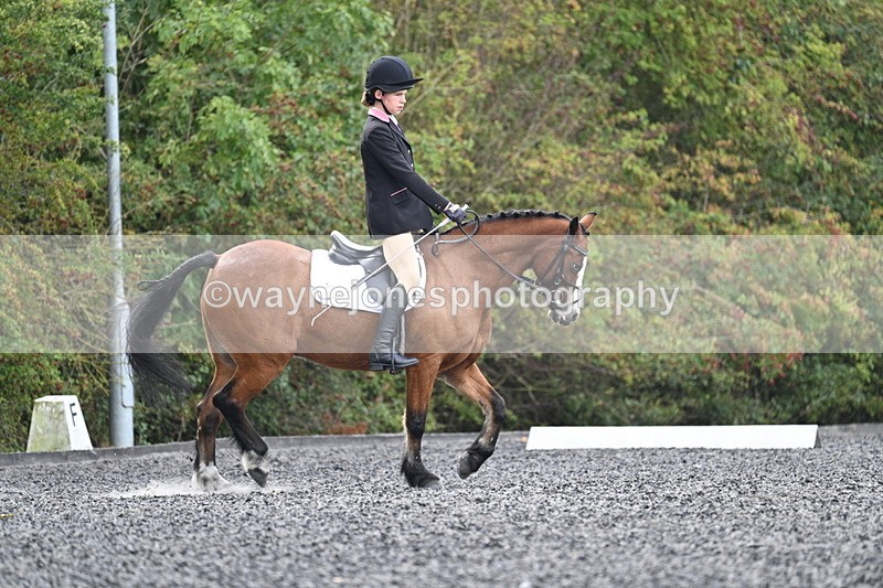 WJ7_3951 - Time 11:04 to 11:38