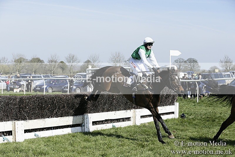 PtP 260317 102 - Mendip Farmers Point-to-Point Ston Easton 26/03/17