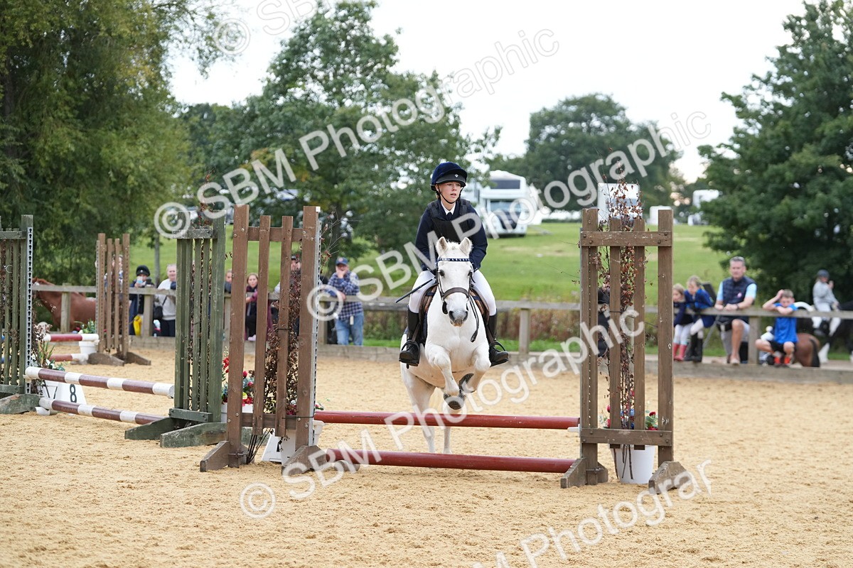 SBM_74849 - J4 - Mini Tour Junior Pony 45cm Championship