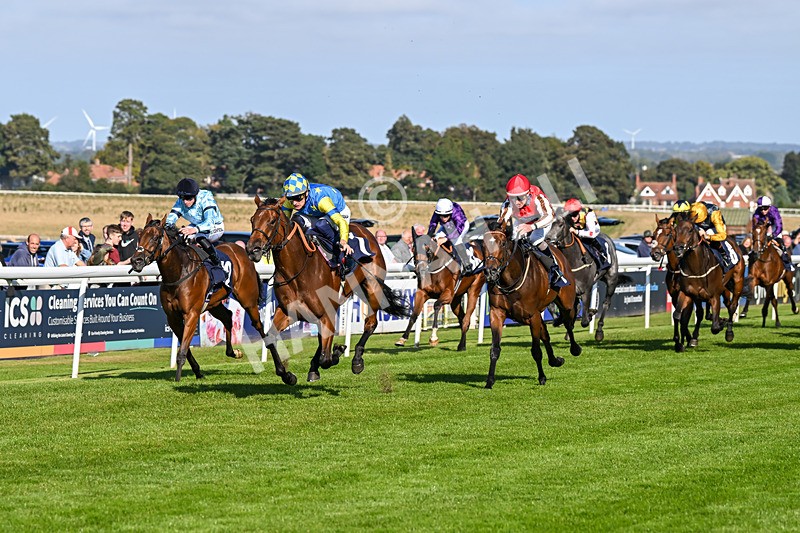 180924-Race 5-Blue Zodiac-4790 - Race 5