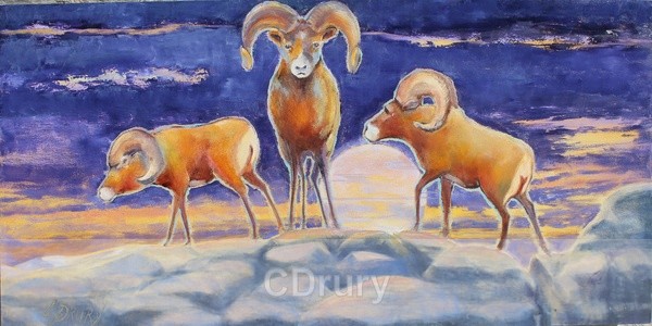 Over the Top - Original Paintings