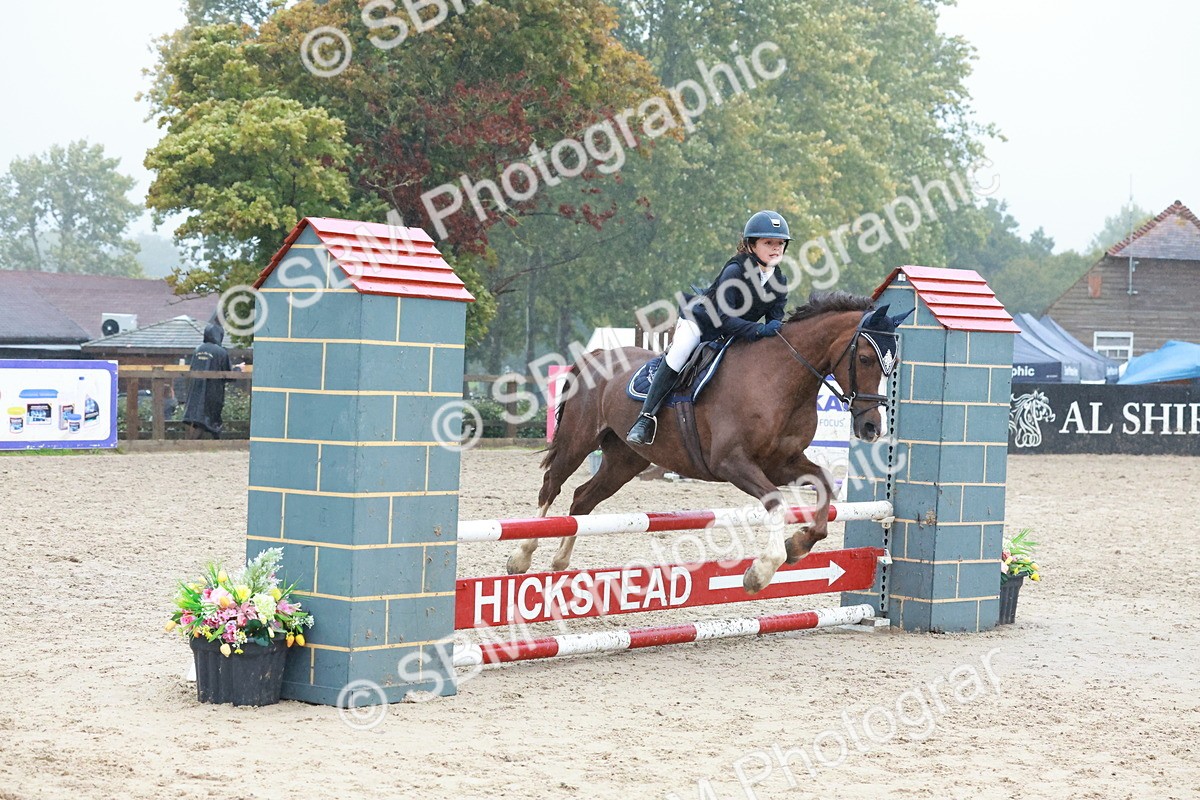 SBM_73441 - Supreme Championship Junior Pony 60cm & 65cm
