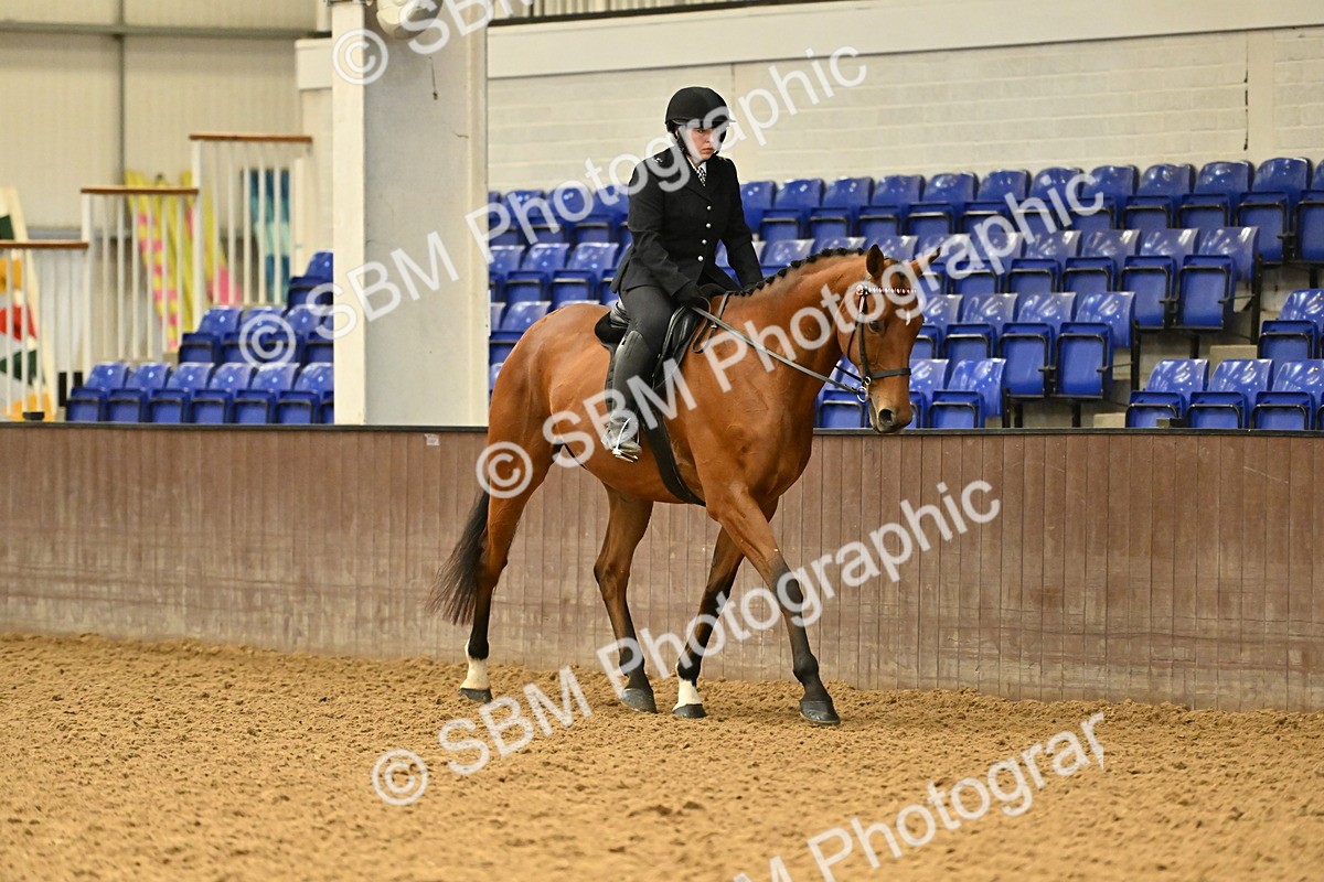 SBM_001999 - Class 24 - BSHA Ridden Racehorse to Show Horse