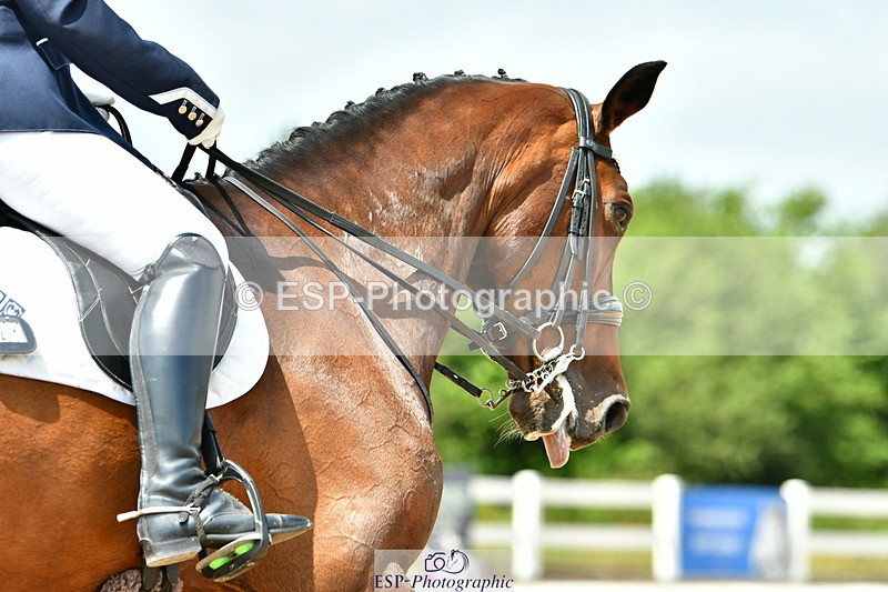 230702A-134805-10097 - Cls 31 Medium 69