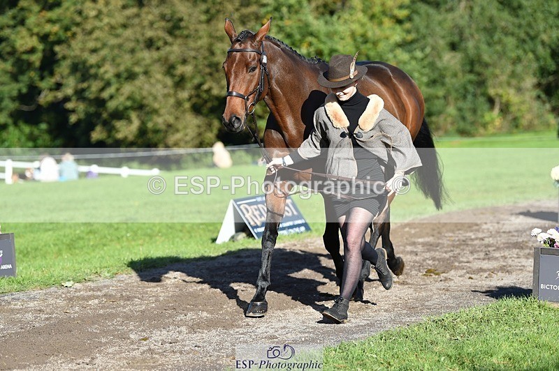 231022-105720-23618 - 501-LA.BASS-Aimee.Bickley-TrotUp+SJ