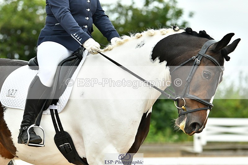 230701A-115250-05332 - Cls 5 Novice 37A