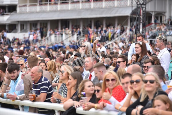 yr23072022r5-56 - Race 5 4.25pm Sky Bet UK's No1 Betting App Stakes