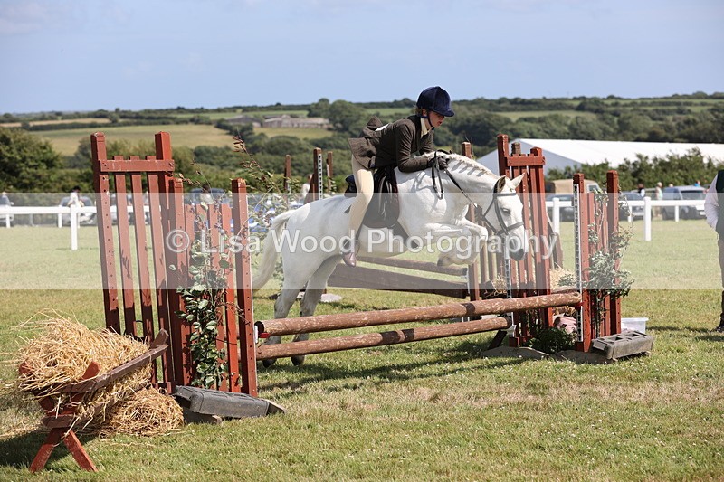 JPP_2242 - Class 19: Working Hunter 60cm