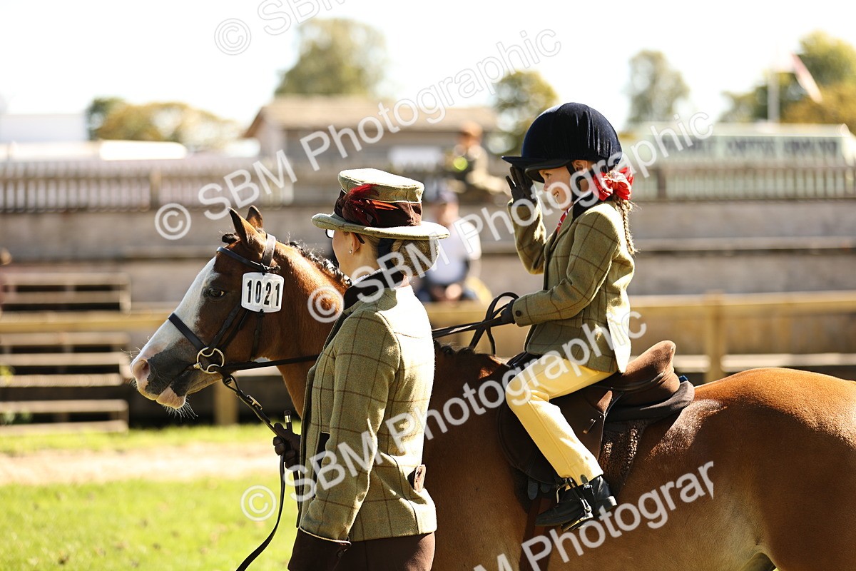 SBM_19295 - S3 - TSR Ridden Pony Showing