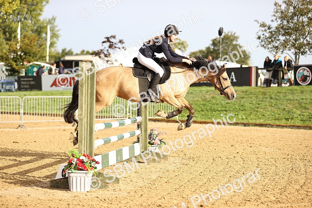 SBM_55221 - J62 - Clear Round 90cm