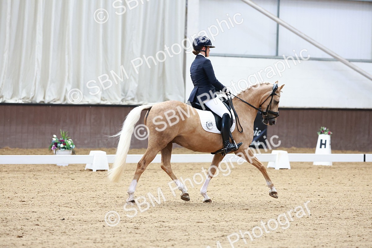 SBM_017307 - Class15 - FEI Pony