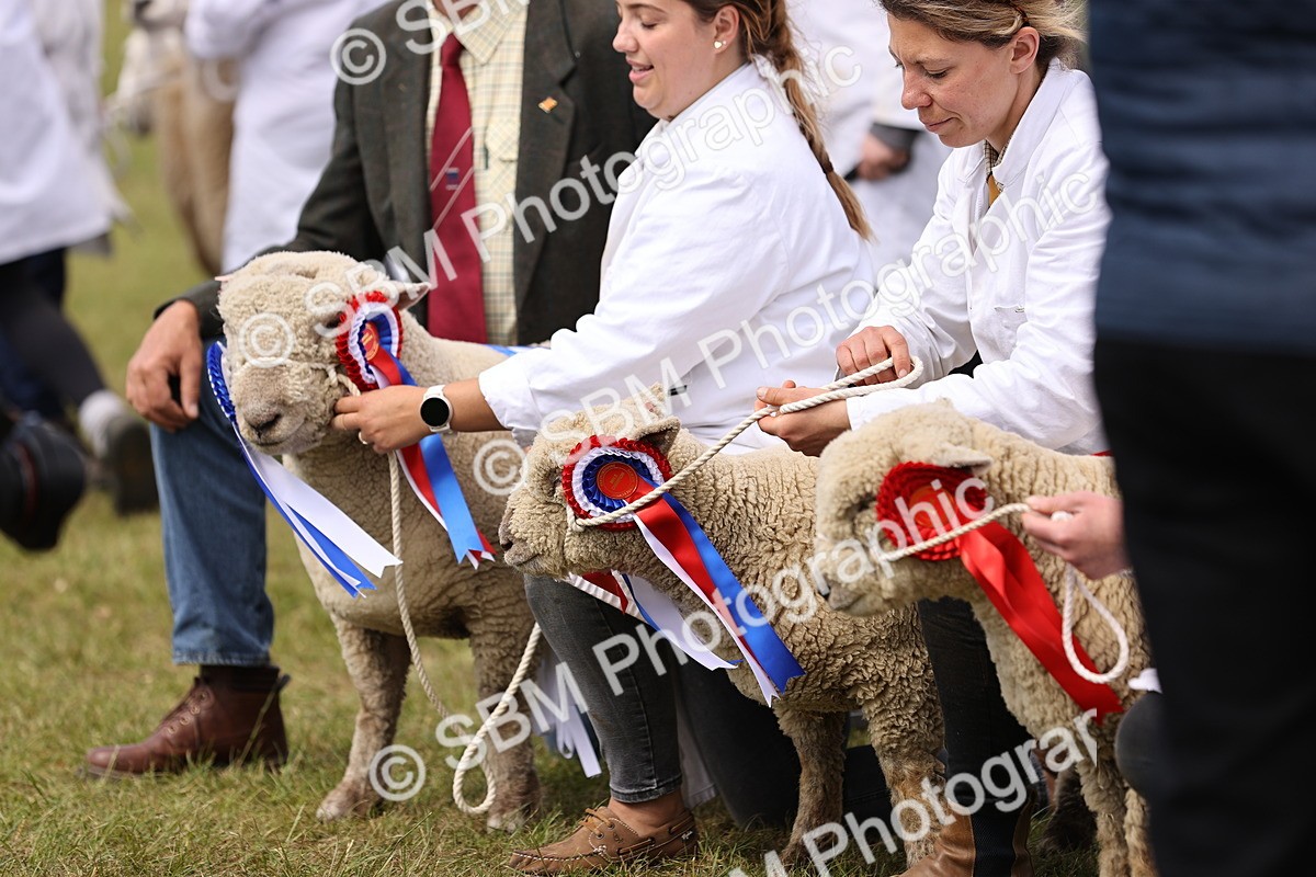 SBM_16915 - Grand Parade