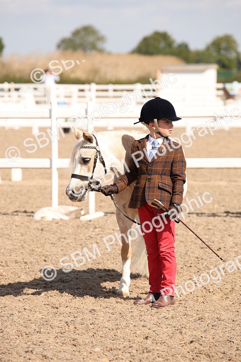 SBM_03024 - Class 17 Prettiest Mare IH or Ridden