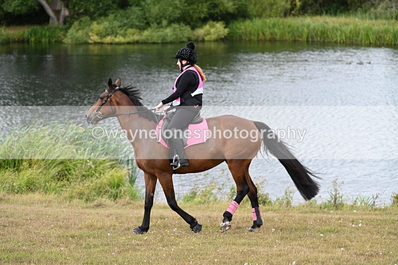 WJ7_6033 - Time 11:50 to 12:09