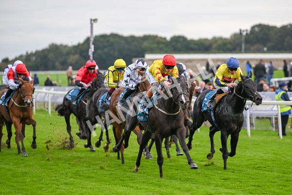 101025-Race 5-Go Vince Go-6977 - Race 5 Parsonage Hotel And Cloisters Spa Nursery Handicap at York
