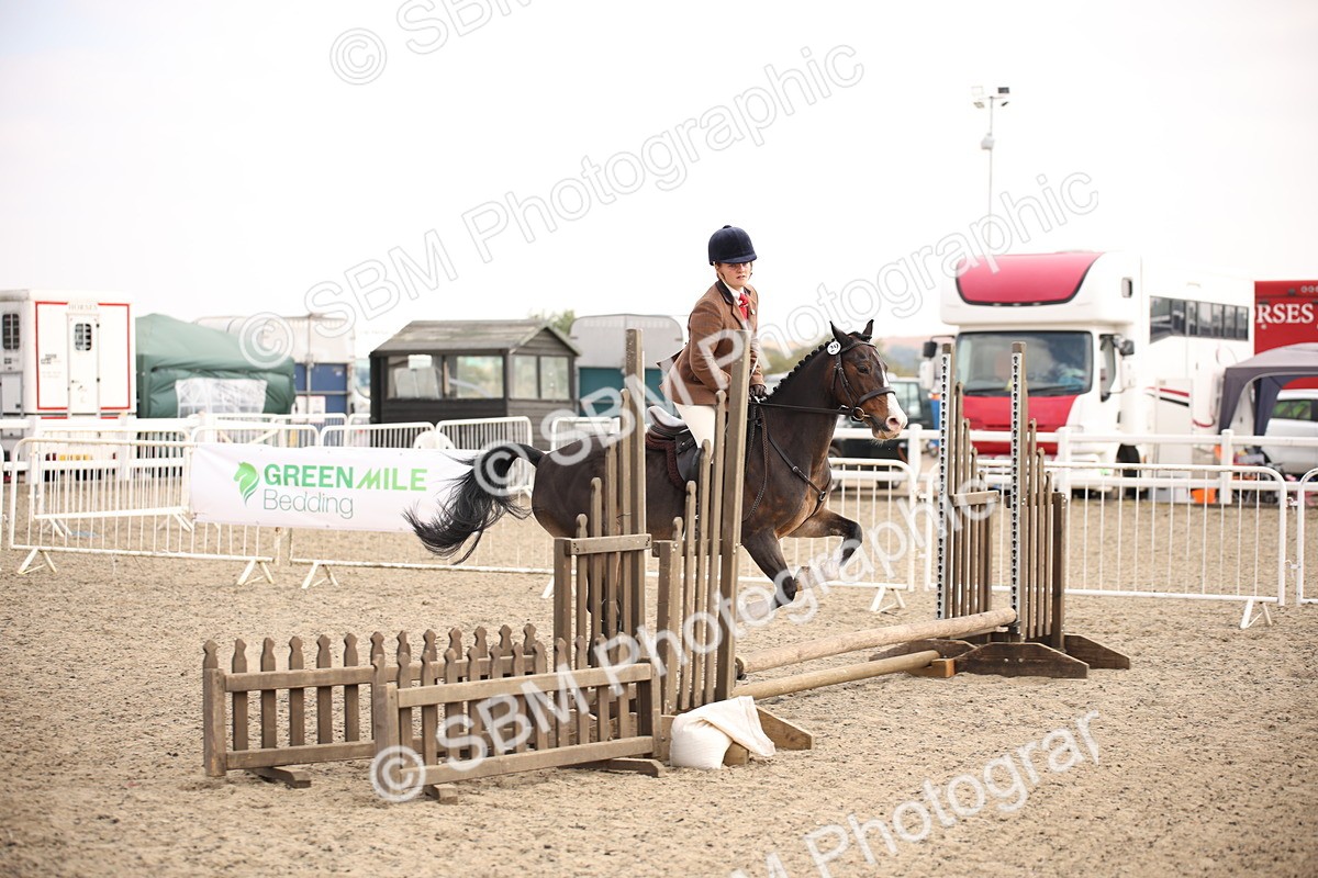 SBM_13560 - Class 406b - Working Veteran 50cm (20+)