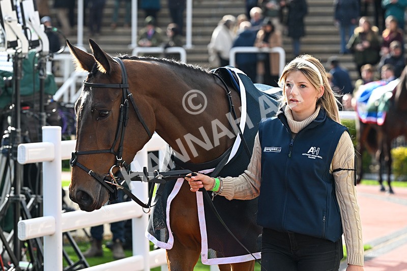 251025-Race 1-Kdeux Saint Fray-6545 - Race 1