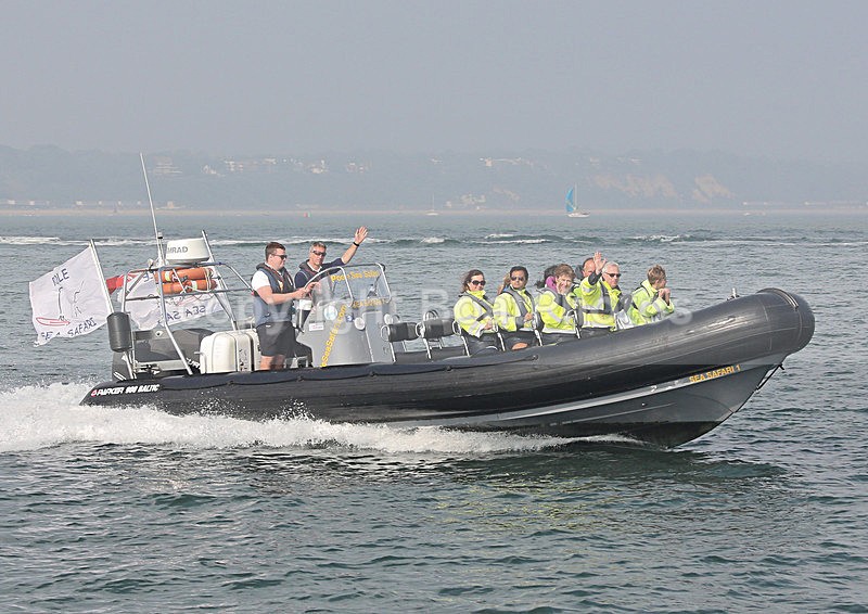 140907 POOLE SEA SAFARI WT7A5747 - RIBs, Tenders, Dories, Dinghies