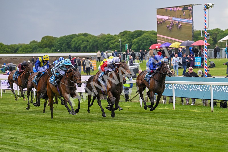 140526-Race 3-Maybe Not-4890 - Race 3 2.55pm Oakmere Homes Hambleton Handicap