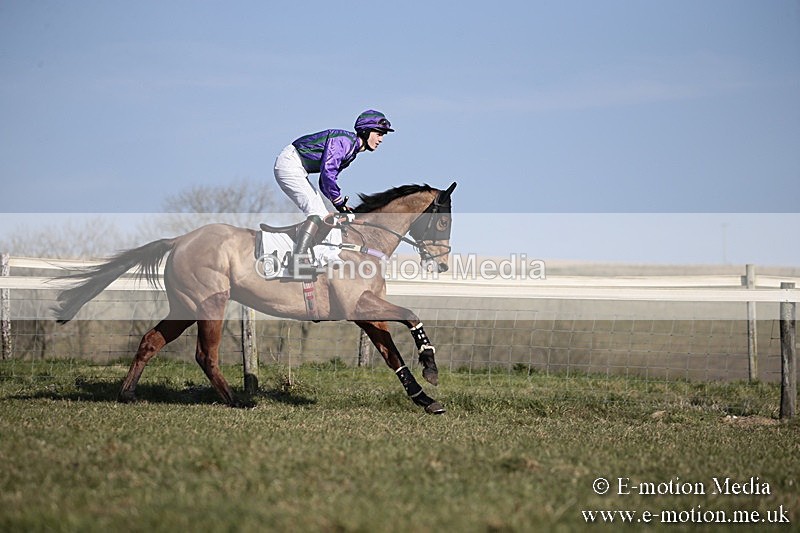 PtP 240218 225 - Vine & Craven Hunt Point-to-Point Barbury racecourse 24/02/18