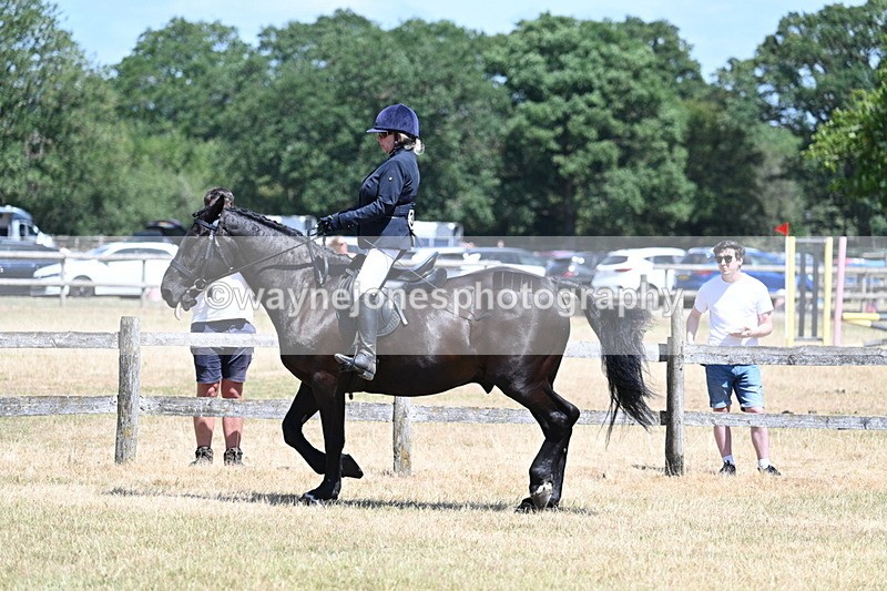 WJ7_2790 - Class 7 Riding Club Show Horse