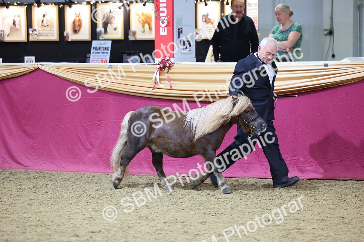 SBM_20818 - Class 902 - Supreme Final IH Veteran