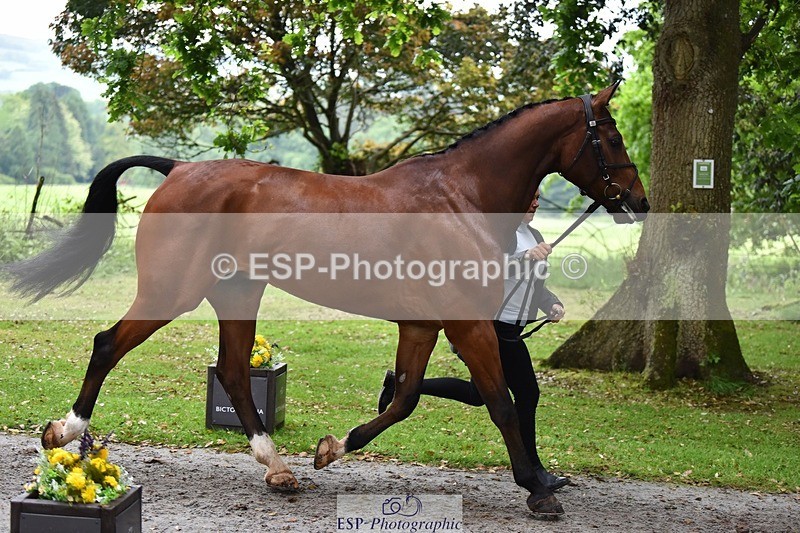 240522-165728-01283 - 229-ROCK_THE_CASPAR-Ali_Wilkes