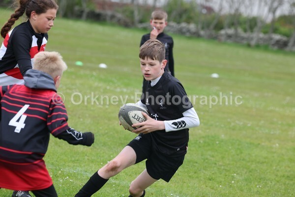DAD22461 - Rookies/Mini Rugby on 7s Day