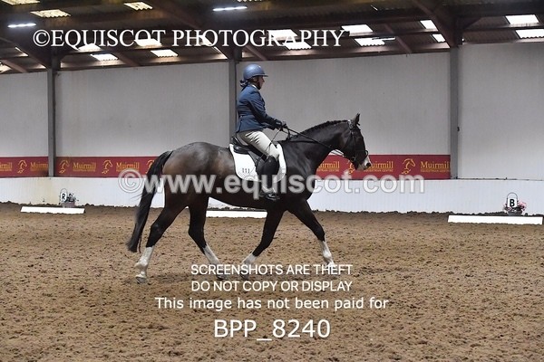 BPP_8240 - NOVICE 4 UNAFF