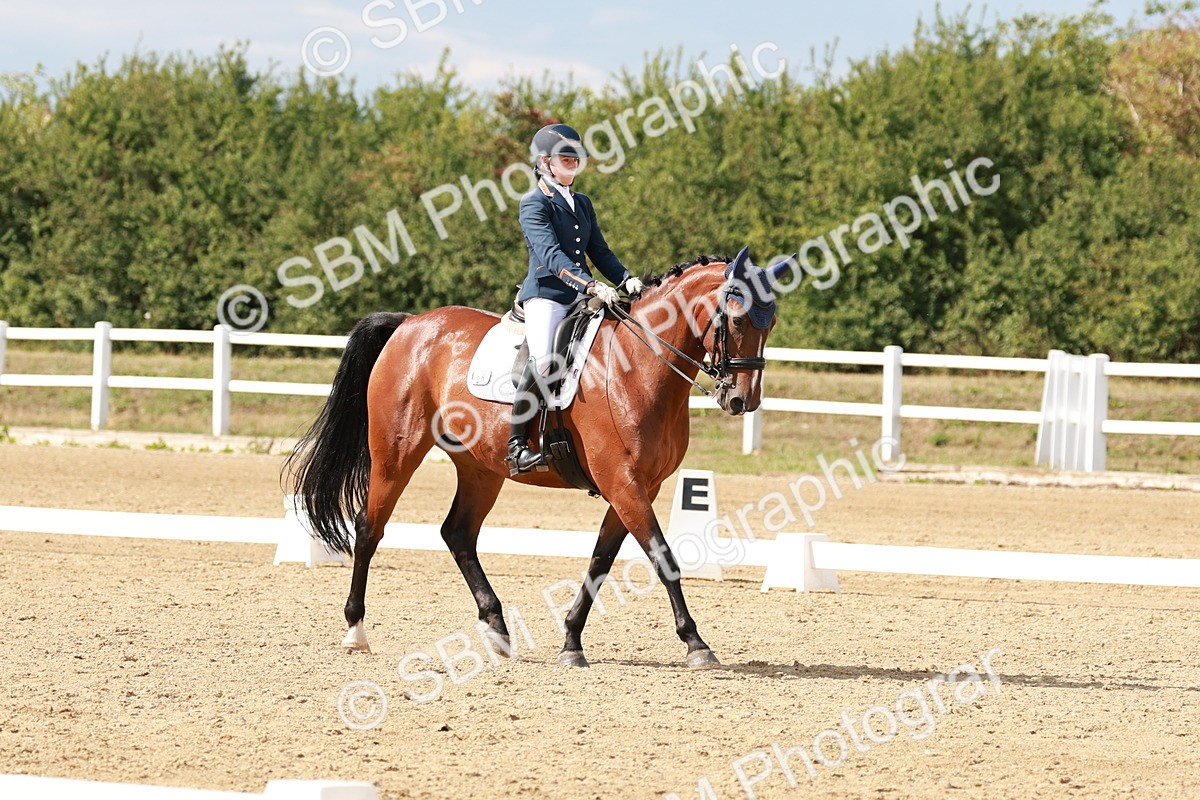 SBM_002491 - Class 11 - Medium 6