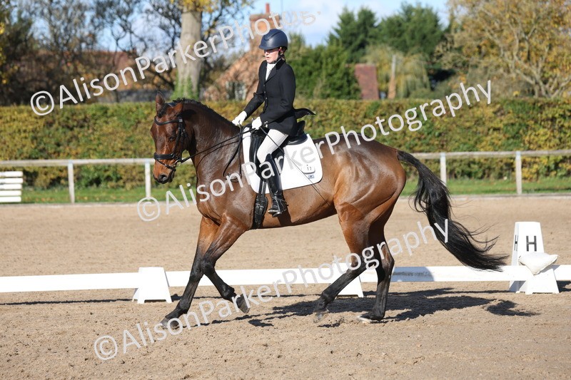 20251102-0889 - Class 5 - Elementary 5