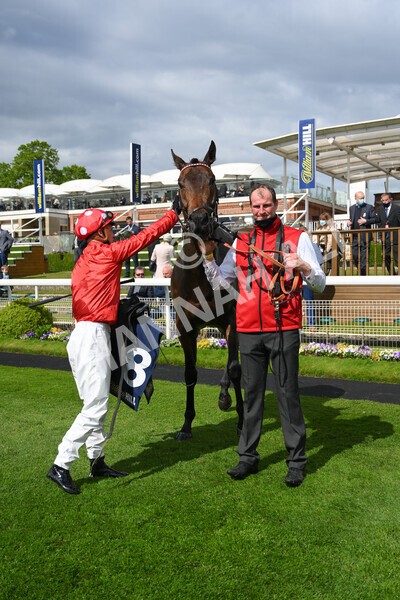 yr22052021r4-61 - Race 4 3.50pm WilliamHill.com Best Odds Guaranteed Stakes