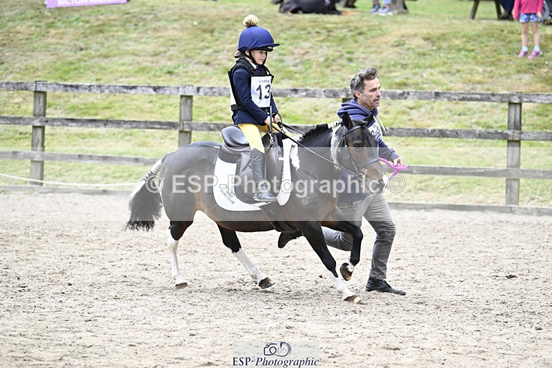 240822X-134527-08456 - 40cm LR R2 13.00 to 15.00