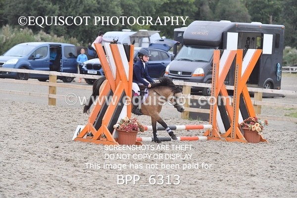 BPP_6313 - CLASS 2 - 30CM
