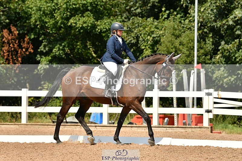 250817-133915-10017 - 033-Frankie.TorodeFirst.Impression.VI