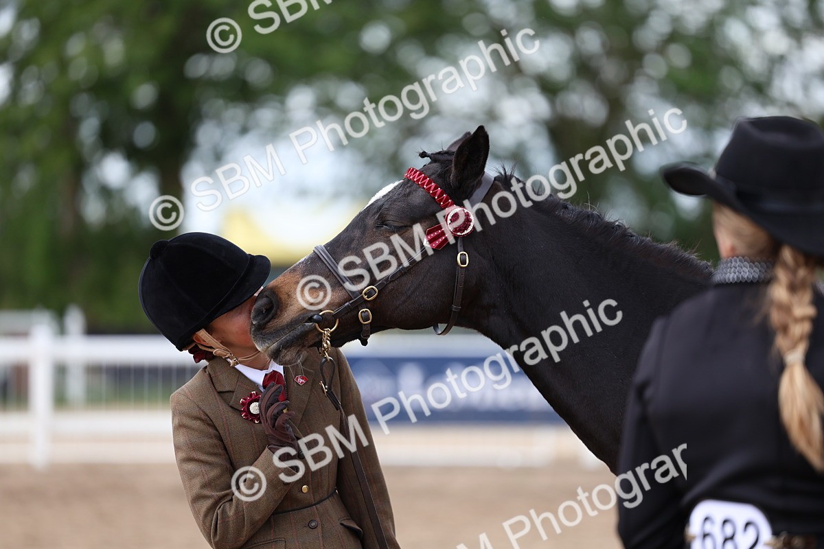SBM_04497 - Class 26 - IH Foreign Breeds - Part Bred