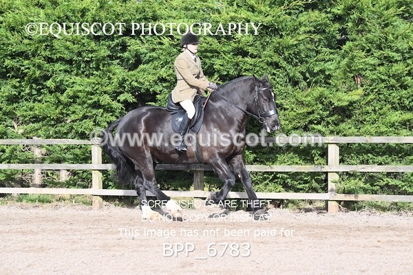 BPP_6783 - RING 1  (RIDDEN HORSES / IN HAND / VETERAN ETC)