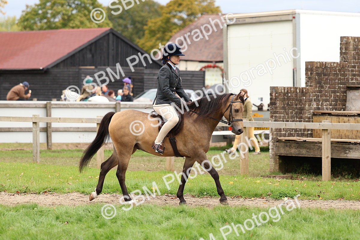 SBM_67364 - S61 - Mountain & Moorland Ridden