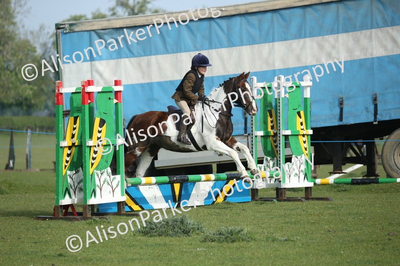 20260426-0067 - Class 13 - Rookie Jumping 50cm