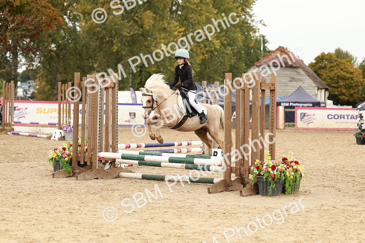 SBM_57912 - J11 - Junior Pony 50cm Championship