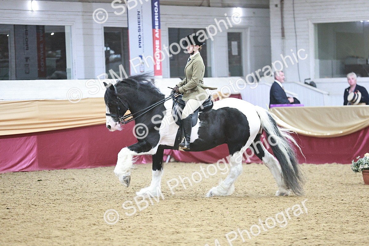 SBM_08911 - Class 12R - Regional Ridden Pre-Vet