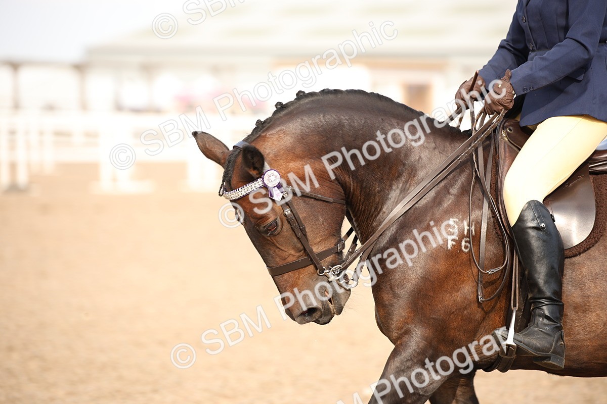 SBM_08809 - Class 12R Regional Ridden Pre-Vet