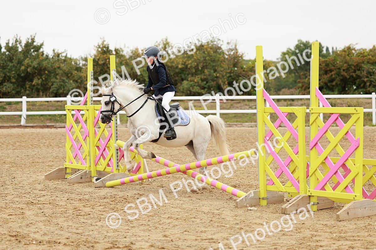 SBM_007141 - Class 2 - 50cm