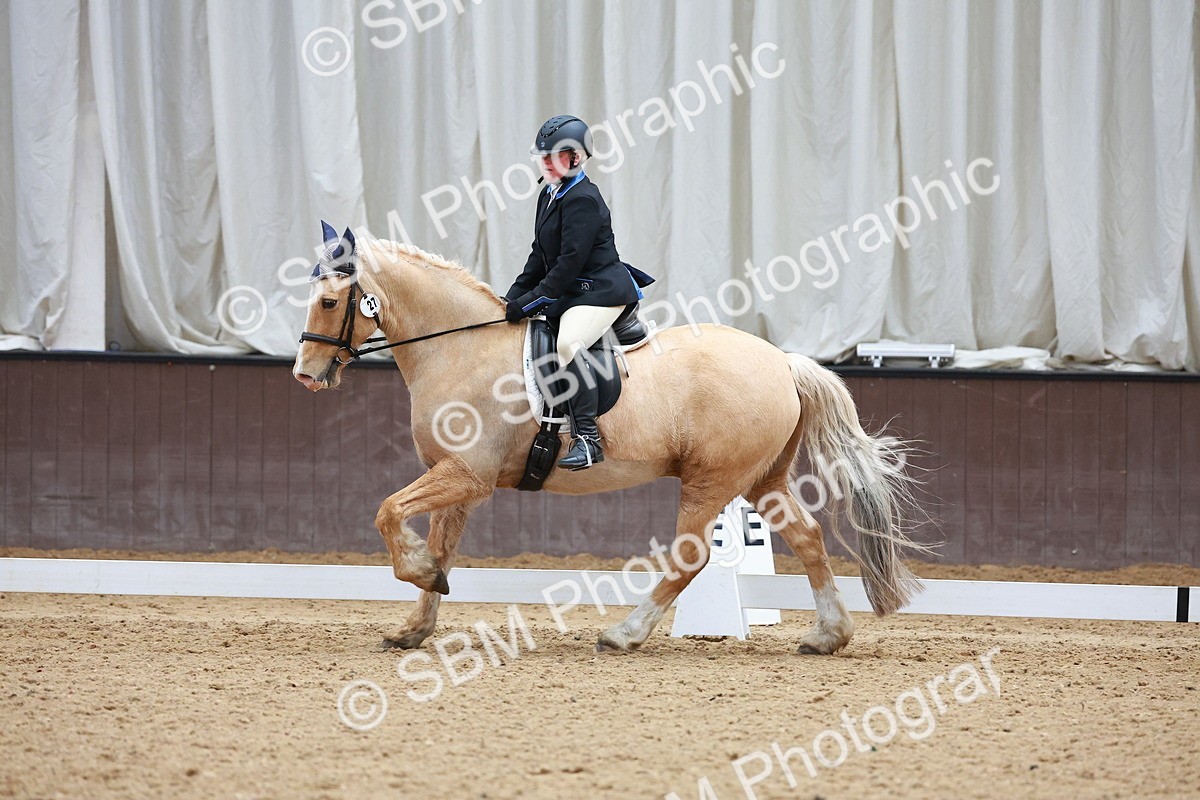 SBM_001090 - Class 5 - Novice 1