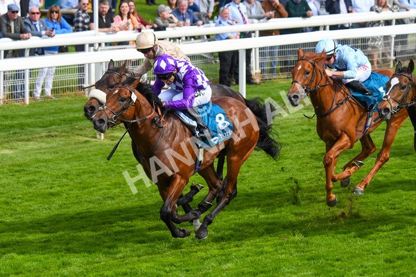 170523-Race 5-Dark Thirty-0701 - Race 5 4.10pm Conundrum HR Consulting Handicap