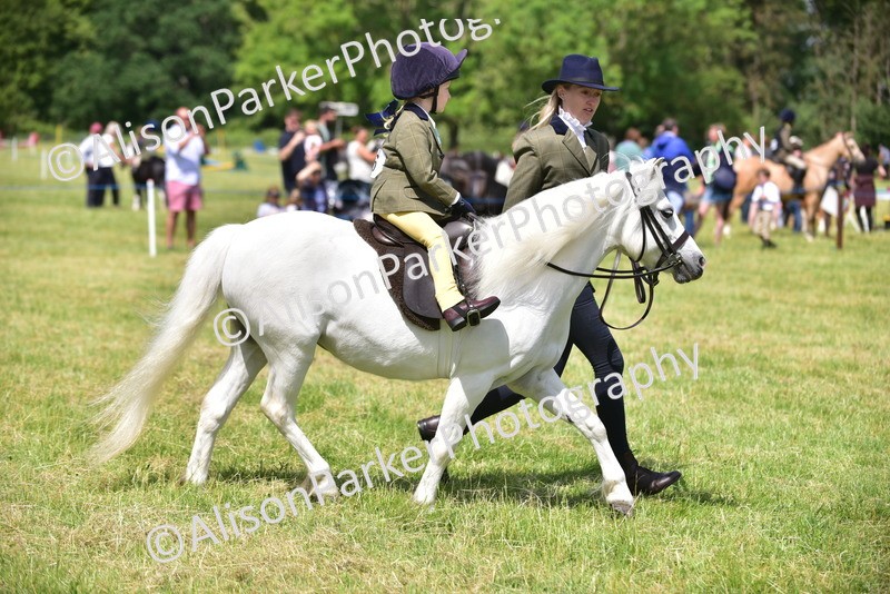 20260614-1238 - Class 11a - Lead Rein Pony (Unplaited)