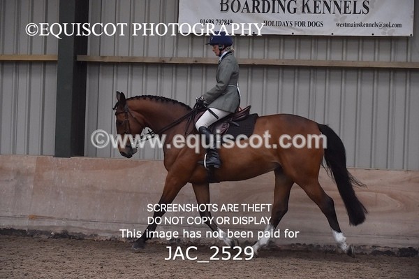 JAC_2529 - CLASS 3 Intermediate Working Hunter